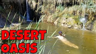 Ruins Oasis Beer Hot Springs Hiking the Amargosa River Trail From China Ranch to Tecopa [upl. by Boutis984]