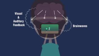 Electroencephalography EEG Explained  Neuroscience Methods 101 [upl. by Garland]