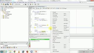 How to do unit testing in netbeans using JUNIT  Software testing  Java Unit Test [upl. by Acirret]