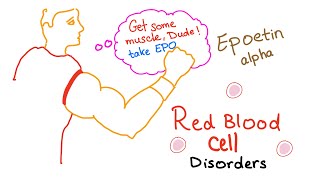 Erythropoietin EPO amp Red Blood Cells RBCs  Oxygenation  Endurance  Exercise [upl. by Ruggiero620]