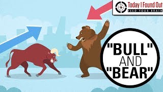 Why are Bull and Bear Markets Called That [upl. by Bussy]