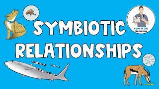 Symbiotic Relationships [upl. by Abeu]