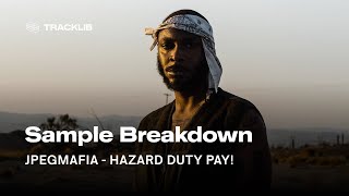 Sample Breakdown JPEGMAFIA  HAZARD DUTY PAY [upl. by Eek164]