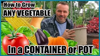 How to Grow Vegetables in Containers  Container Gardening  Self Sufficient Sunday [upl. by Jeanine]