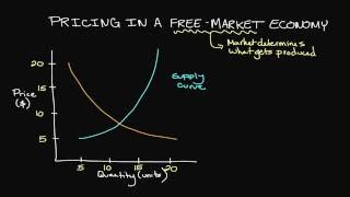 Pricing in a FreeMarket Economy [upl. by Menendez]