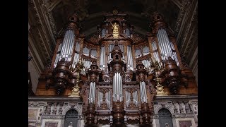 Reger  Ein feste Burg Berlin Cathedral Sauer Organ 1905 [upl. by Meredith53]