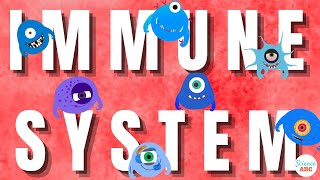 Immune System Innate and Adaptive Immunity Explained [upl. by Sidonia]