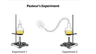 Pasteurs Experiment [upl. by Eilesor]