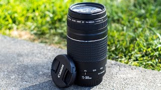 5 Reasons Why You SHOULD Consider The Canon 75300mm Lens [upl. by Nylyaj206]