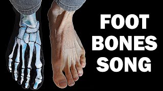 FOOT BONES SONG [upl. by Firahs]