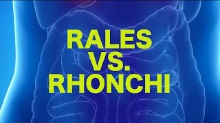 Rales vs Rhonchi  USMLE [upl. by Cayla]