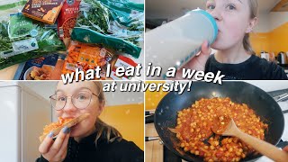 WHAT I EAT IN A WEEK AT UNI  food shop [upl. by Cogen]