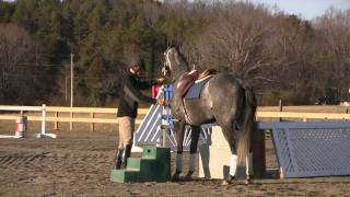 Part 1 of the Retired Race Horse Thoroughbred Training Project with Eric Dierks [upl. by Aineg905]