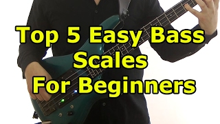 Top 5 Easy Bass Scales For Beginners [upl. by Ozmo]