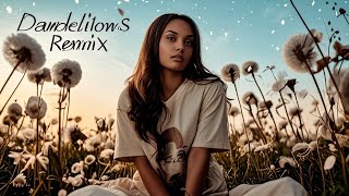 Ruth B  Dandelions Emotional Remix [upl. by Arianne]