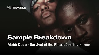 Sample Breakdown Mobb Deep  Survival of the Fittest [upl. by Rafat]