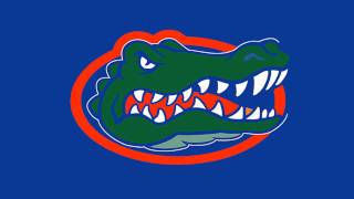 Florida Gators fight song [upl. by Bergerac76]