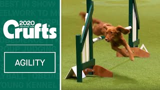 Agility  Championship Final  Crufts 2020 [upl. by Ioved345]