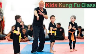 Kids Kung Fu Training at home Kung Fu beginner training 2020 [upl. by Flanders]