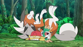 You Can Do It Rowlet  Pokémon the Series Sun amp Moon—Ultra Legends  Official Clip [upl. by Elletnahs]