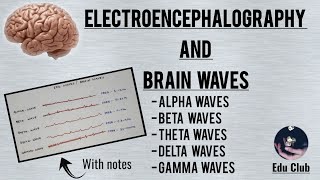 Rat Epidural EEG Electrode Surgery [upl. by Tratner]