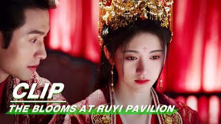 Clip Ju Jingyi amp Zhang Zhehan Get Married  The Blooms At RUYI Pavilion EP40  如意芳霏  iQIYI [upl. by Adlig910]