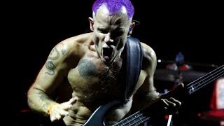 Top 10 Rock Bassists [upl. by Yerffoj]