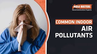 What are Common Indoor Air Pollutants  Mold Busters [upl. by Tine]