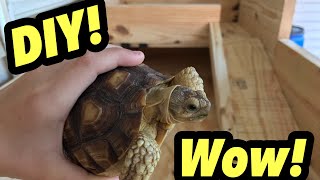 How to build the best DIY tortoise enclosure with step by step instructions [upl. by Hubbard]