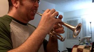 Beatles Penny Lane Piccolo Trumpet Solo [upl. by Eyram]