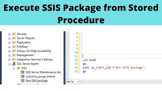 16 Execute SSIS Package from Stored Procedure\SQL Query [upl. by Evilo]