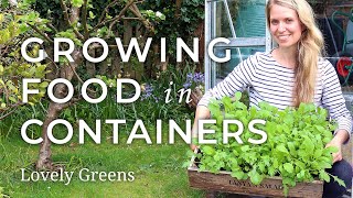 Quick Start Guide to Growing Food in Containers [upl. by Schroder156]