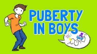 All About Boys Puberty [upl. by Gunilla]