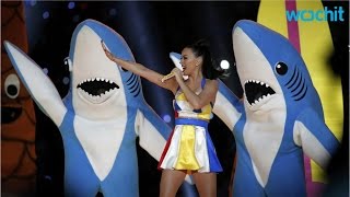 Left Shark Steals Katy Perrys Halftime Show [upl. by Kai116]