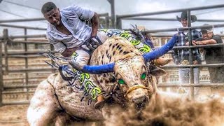 10 Most Dangerous Bulls of Rodeo History [upl. by Ahsinac]