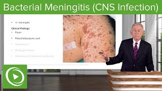 Bacterial Meningitis CNS Infection – Infectious Diseases  Lecturio [upl. by Yanehs]