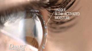 DAILIES® AquaComfort Plus® Contact Lenses [upl. by Jonathan859]