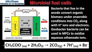 C6 Microbial fuel cells HL [upl. by Rabbaj]