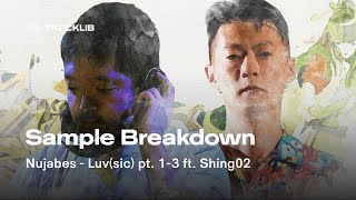 Sample Breakdown Nujabes ft Shing02  Luvsic pt 13 [upl. by Macdonald698]