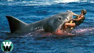 10 DEADLIEST Shark Attack Stories [upl. by Lotta]