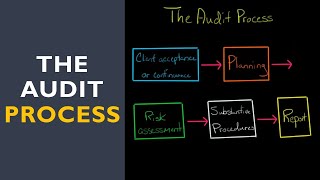 The Audit Process [upl. by Rayna]