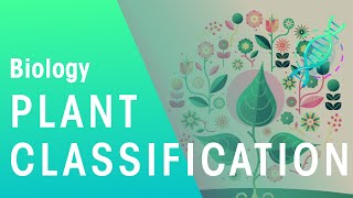 Plant Classification  Evolution  Biology  FuseSchool [upl. by Adnical]