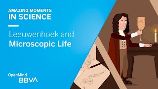 Leeuwenhoek and Microscopic Life  AMS OpenMind [upl. by Nnyliram547]