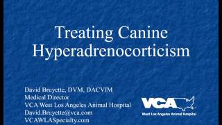 Treating Canine Hyperadrenocorticism Podcast [upl. by Airdnaxela]