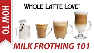 Milk Frothing for Beginners [upl. by Yornoc]