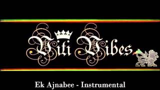 Viti Vibes  Ek Ajnabee reggae instrumental [upl. by Uis882]