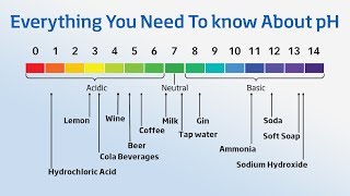 Using a pH Meter  Everything You Need to Know About pH [upl. by Guttery]