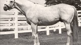 25 Greatest American Race Horses [upl. by Acirej]