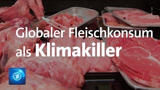 Ein einfaches Rezept für Trockenfleisch vom Rind getrocknetes Fleisch 10 [upl. by Diahann]