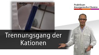 Trennungsgang der Kationen  Praktikum Anorganische Chemie [upl. by Neelrad603]